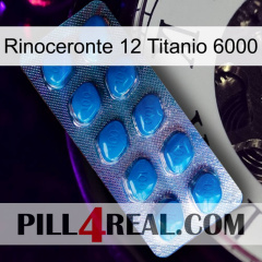 Rhino 12 Titanium 6000 viagra1